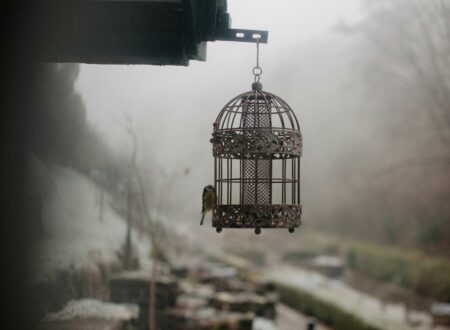 a bird cage hanging from the side of a building