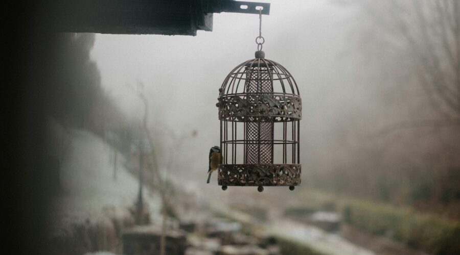 a bird cage hanging from the side of a building