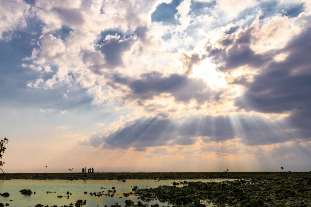 seashore during day