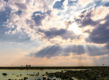 seashore during day