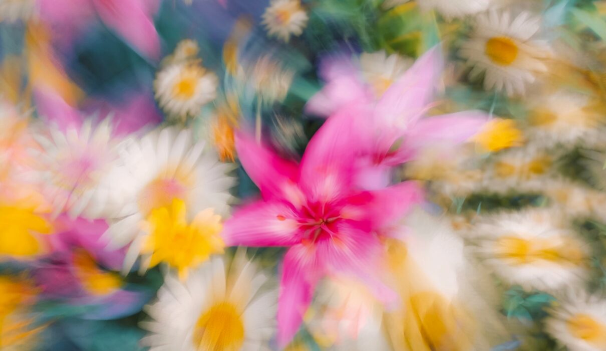 a blurry photo of a bunch of flowers