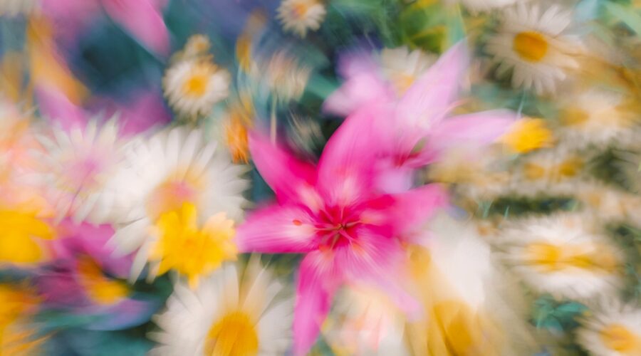 a blurry photo of a bunch of flowers