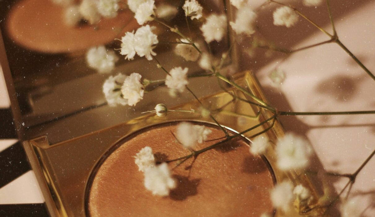 white-petaled flowers on top of conceleaer