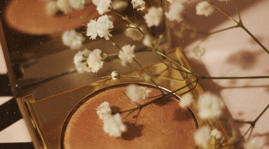 white-petaled flowers on top of conceleaer