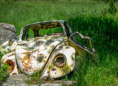 wrecked white Volkswagen Beetle coupe on grass