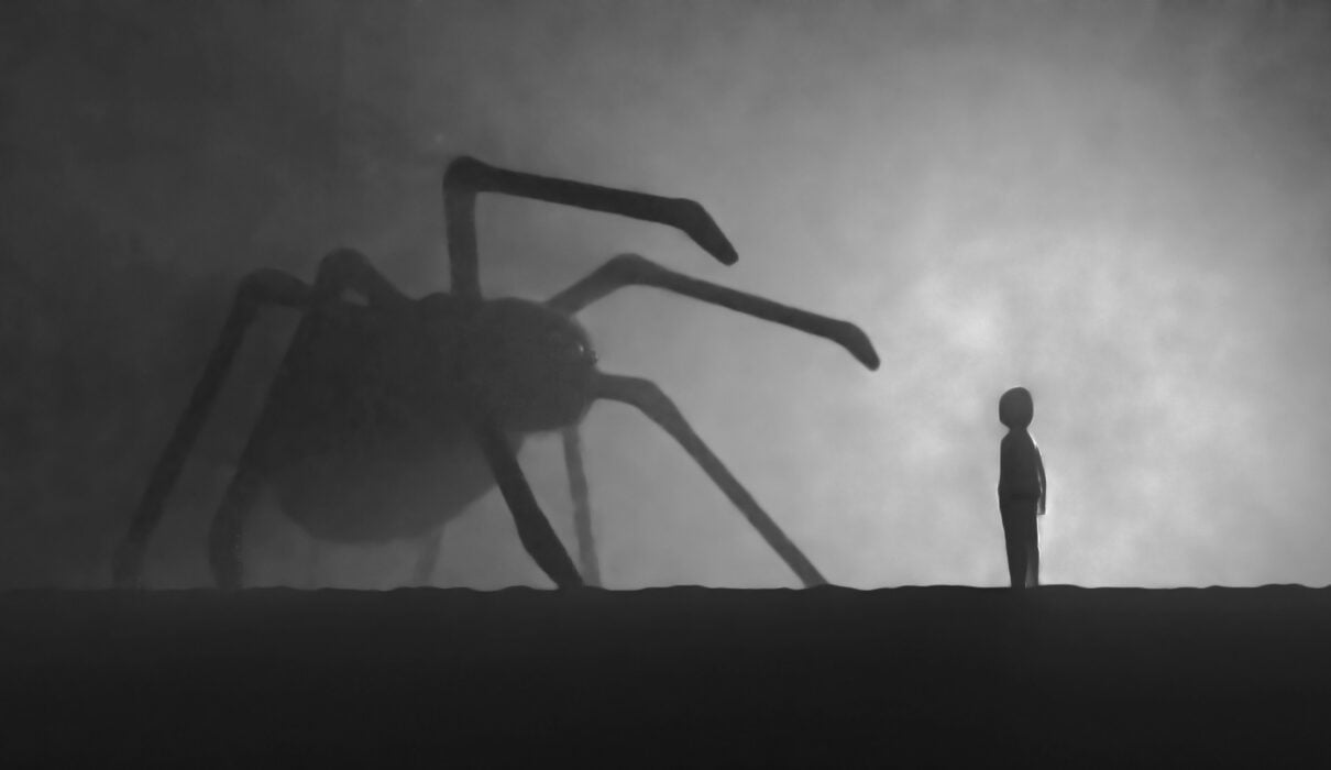 a person standing in front of a giant spider